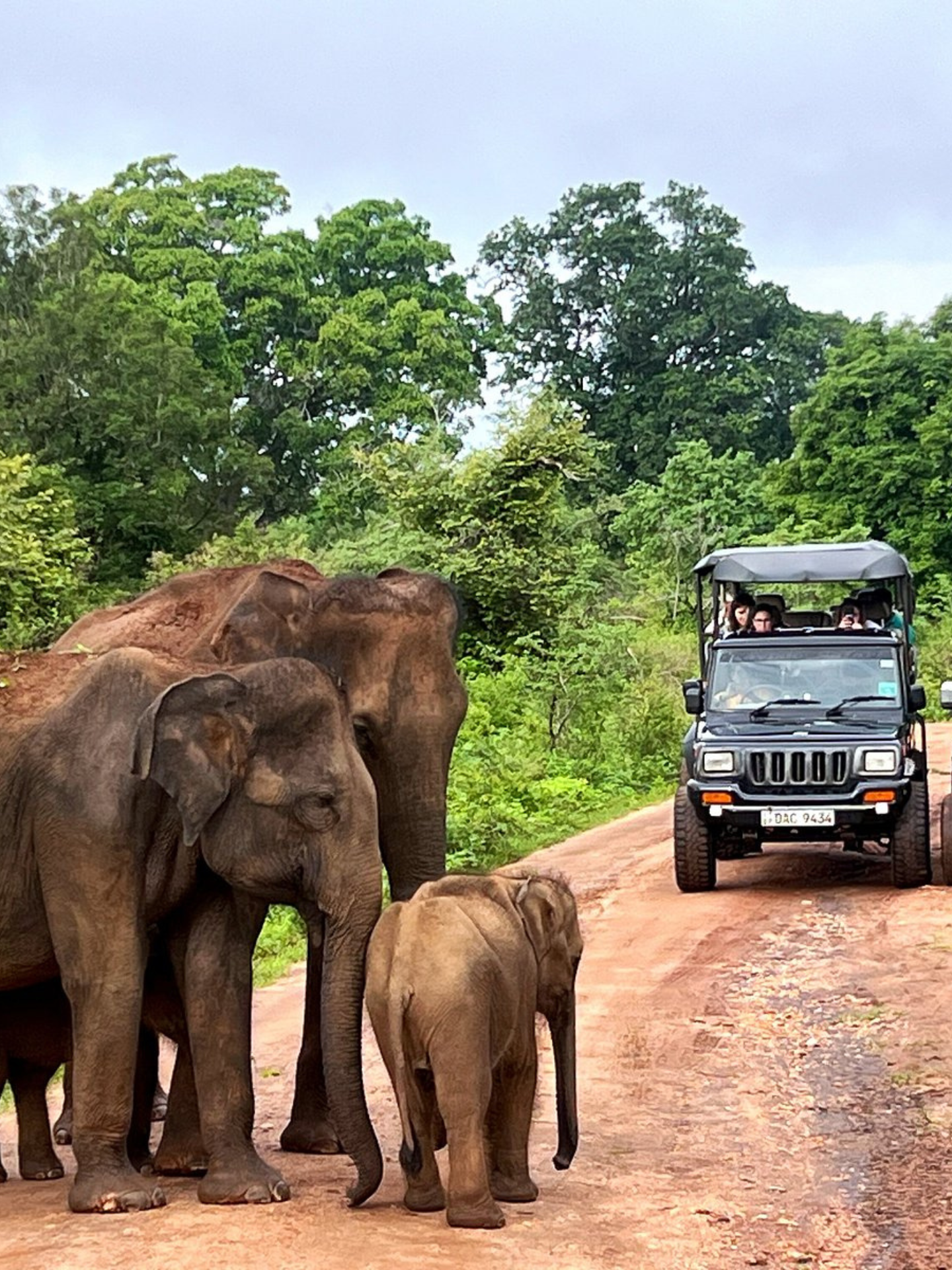 Udawalawe National Park